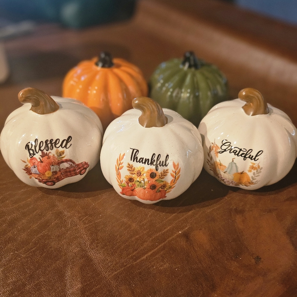 BUNDLE of 5 beautiful pumpkins